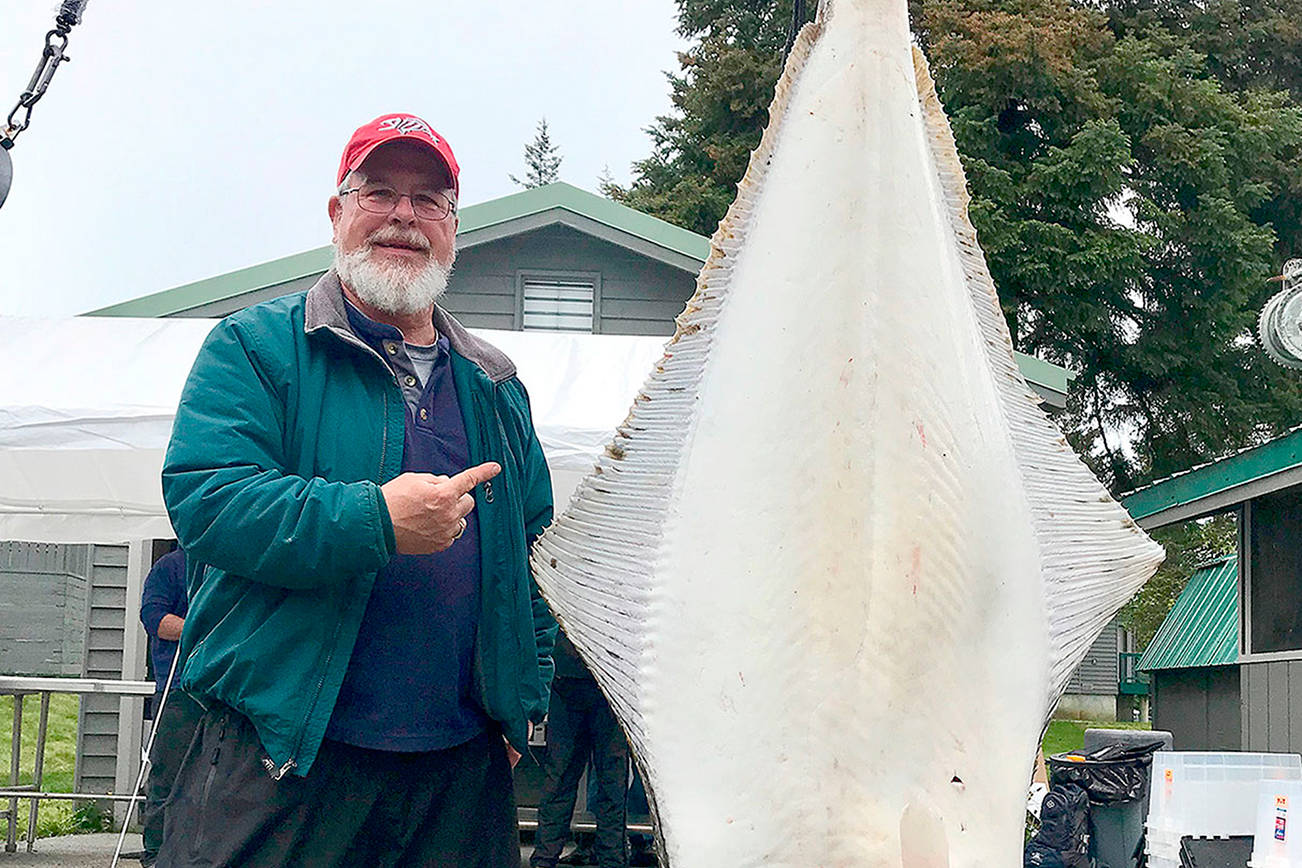 OUTDOORS: Fish and Wildlife Commission meeting in Port Angeles; local angler hauls in huge Alaskan halibut