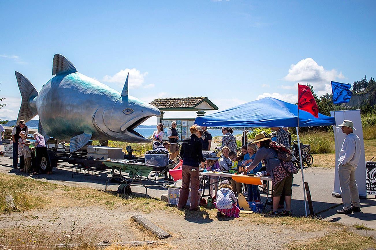 Orca & Salmon Festival to offer free activities on Saturday