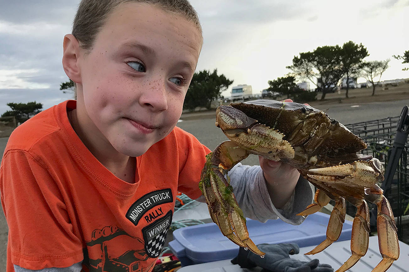 Hood Canal Crab Season 2022 at Stanley Hardman blog