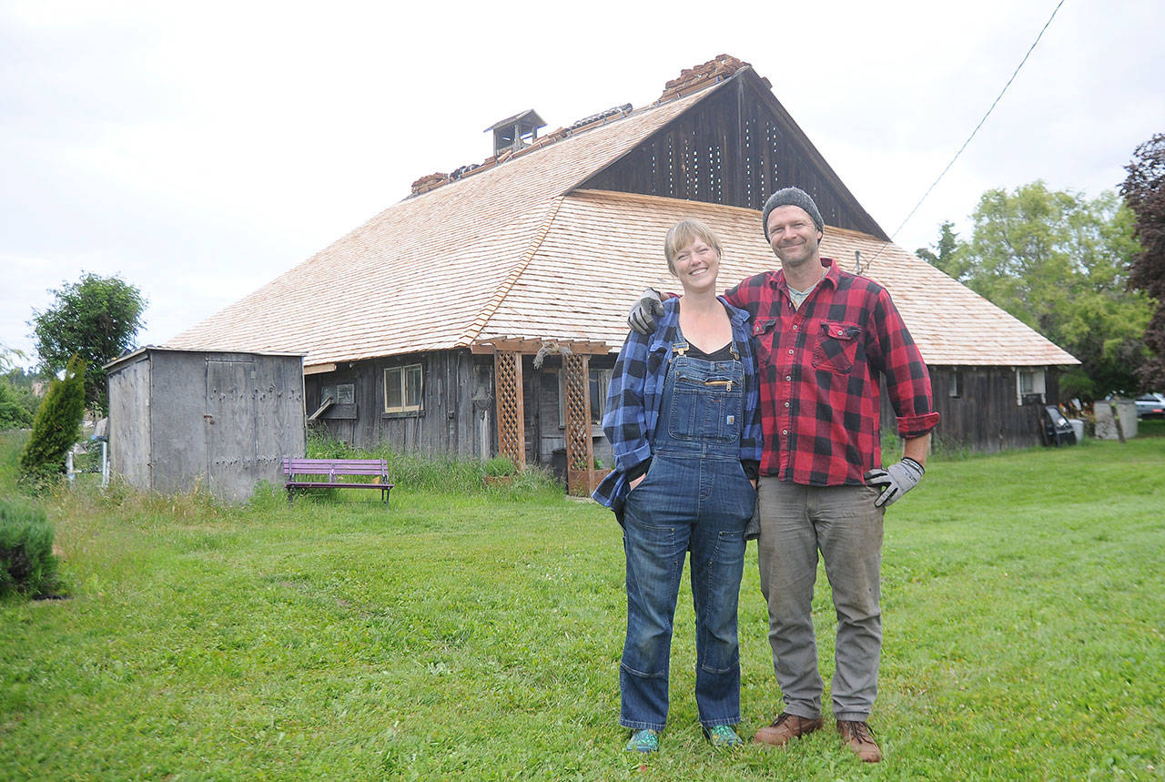 Rebecca Olson and Doug Mazzeo look to have most of the renovations to their 100-year-old-plus barn at Lavender Connection ready for the crowd of visitors on Lavender Weekend in July. The farm, owned by Richard and Susan Olson, received a state matching-funds grant to restore the barn owned by the Lotzgesell family in the 1910s. (Michael Dashiell/Olympic Peninsula News Group)