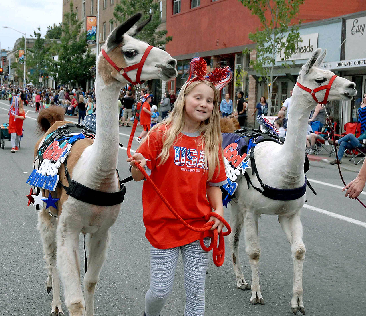 Ameris Hagen, 12, is flanked by llamas Diffn, left, and Fluente during the 2018 parade in Port Angeles. (Keith Thorpe/Peninsula Daily News)