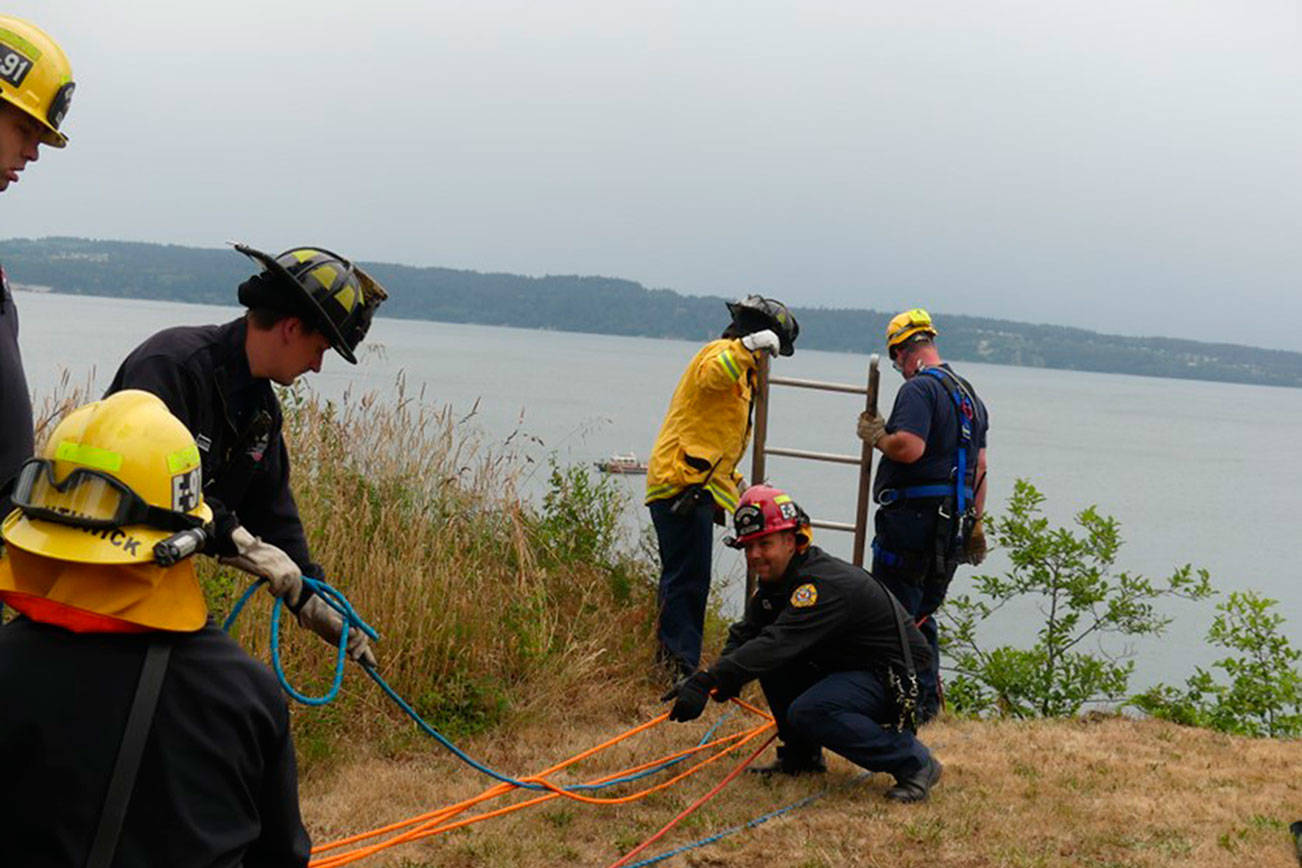 Nonagenarian climbs ladder up cliff to safety after fall