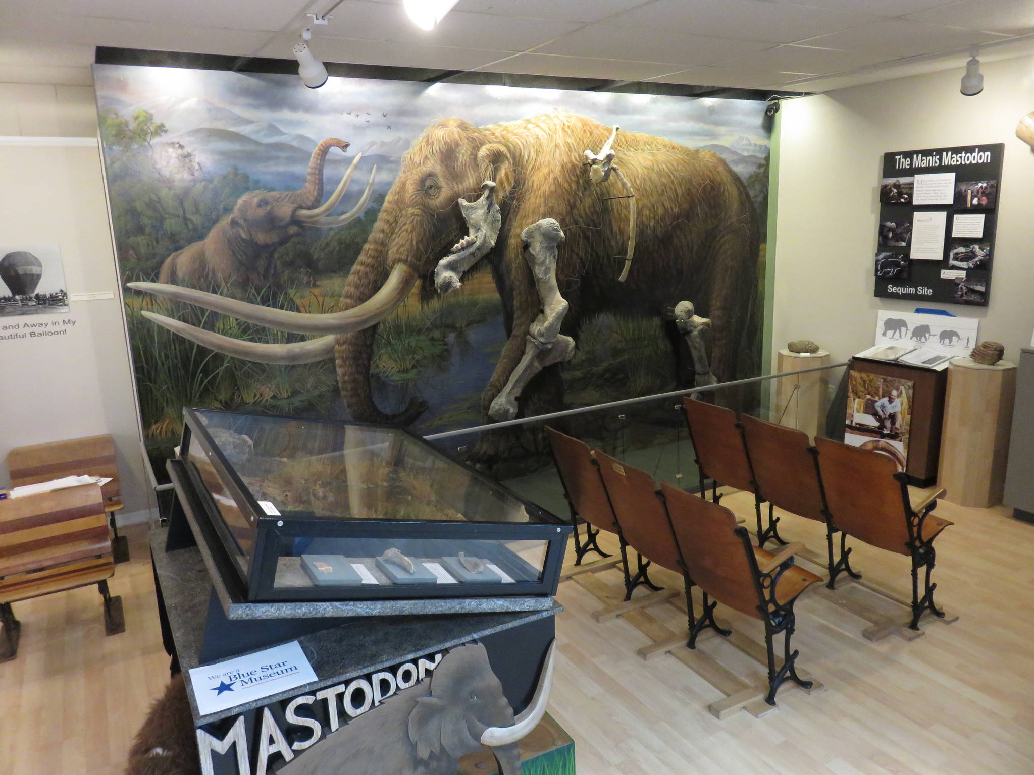 Manis mastodon remnants donated to Washington State Historical Society