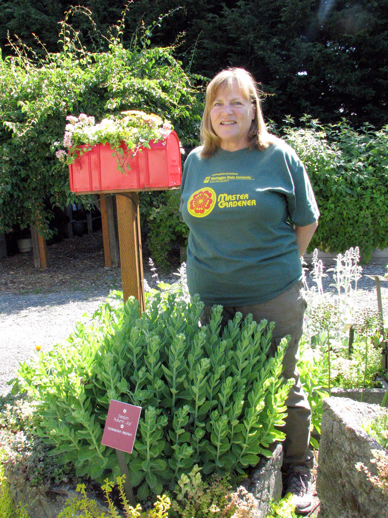 Master Gardener Susan Kalmar will present Hardy Succulents at noon Thursday in the county commissioners meeting room of the Clallam County Courthouse, 223 E. Fourth St.