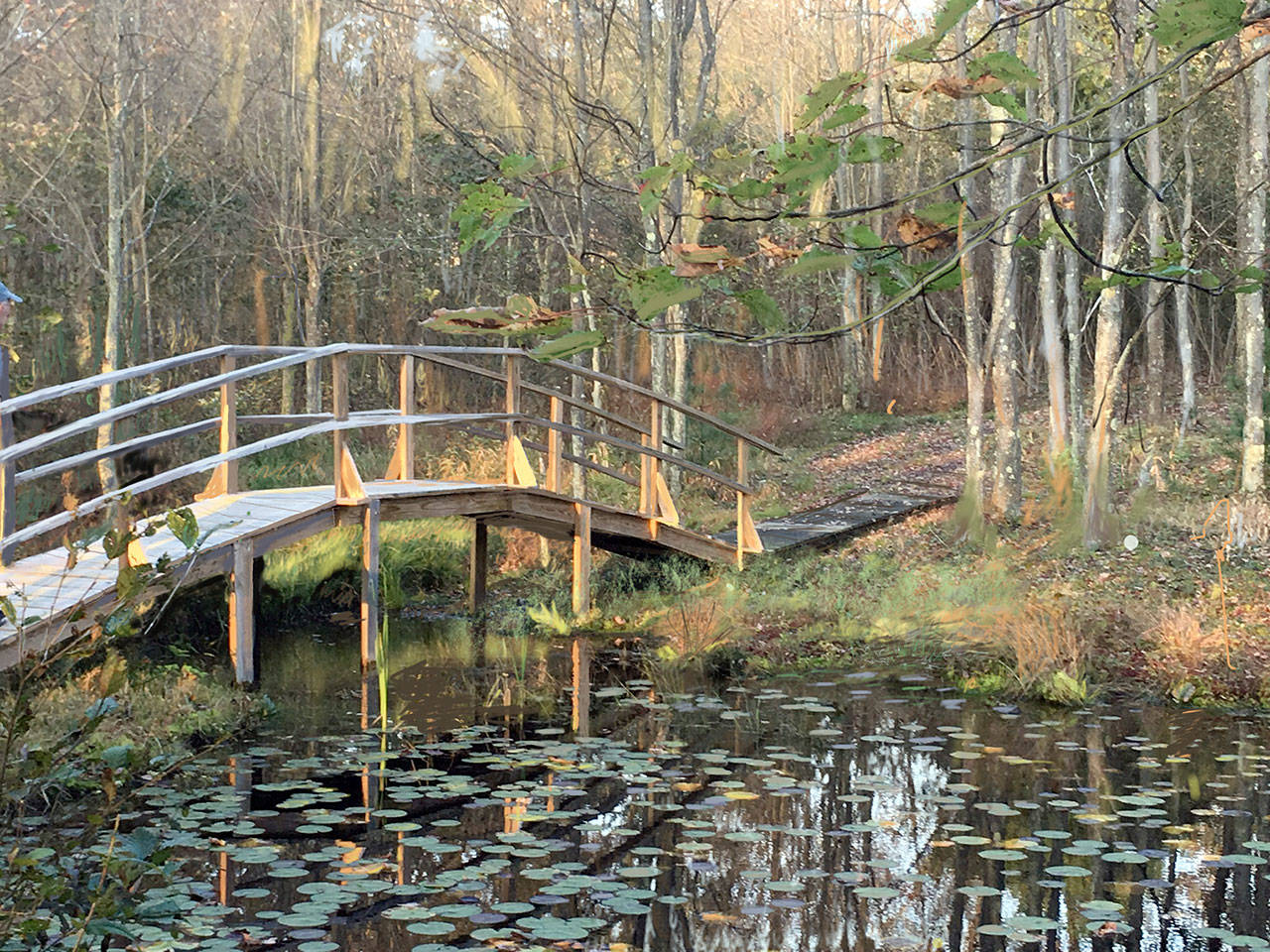 Sara Downs Bobanicks Bridge at the Farm will be among the works exhibited.