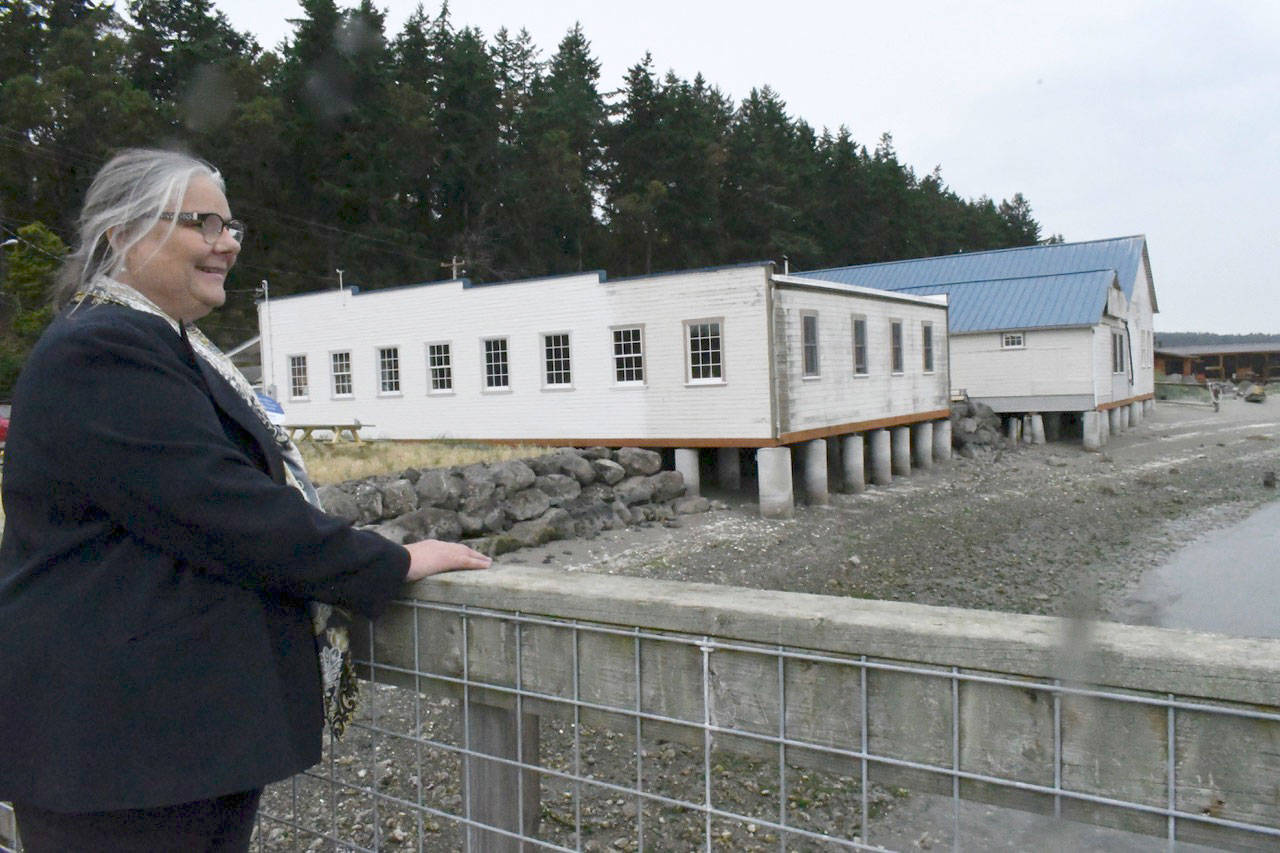 The Northwest School of Wooden Boatbuilding has gone through a makeover with new infrastructure such as a seawall, pilings and roofs added to the campus’ waterfront buildings. Executive Director Betsy Davis said $1.5 million was spent on the upgrades. (Jeannie McMacken/Peninsula Daily News)