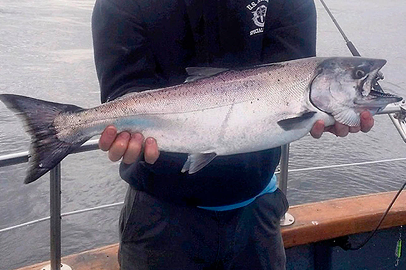 OUTDOORS: Red-hot chinook fishing off Neah Bay may require rule change; Sekiu going strong for kings and silvers