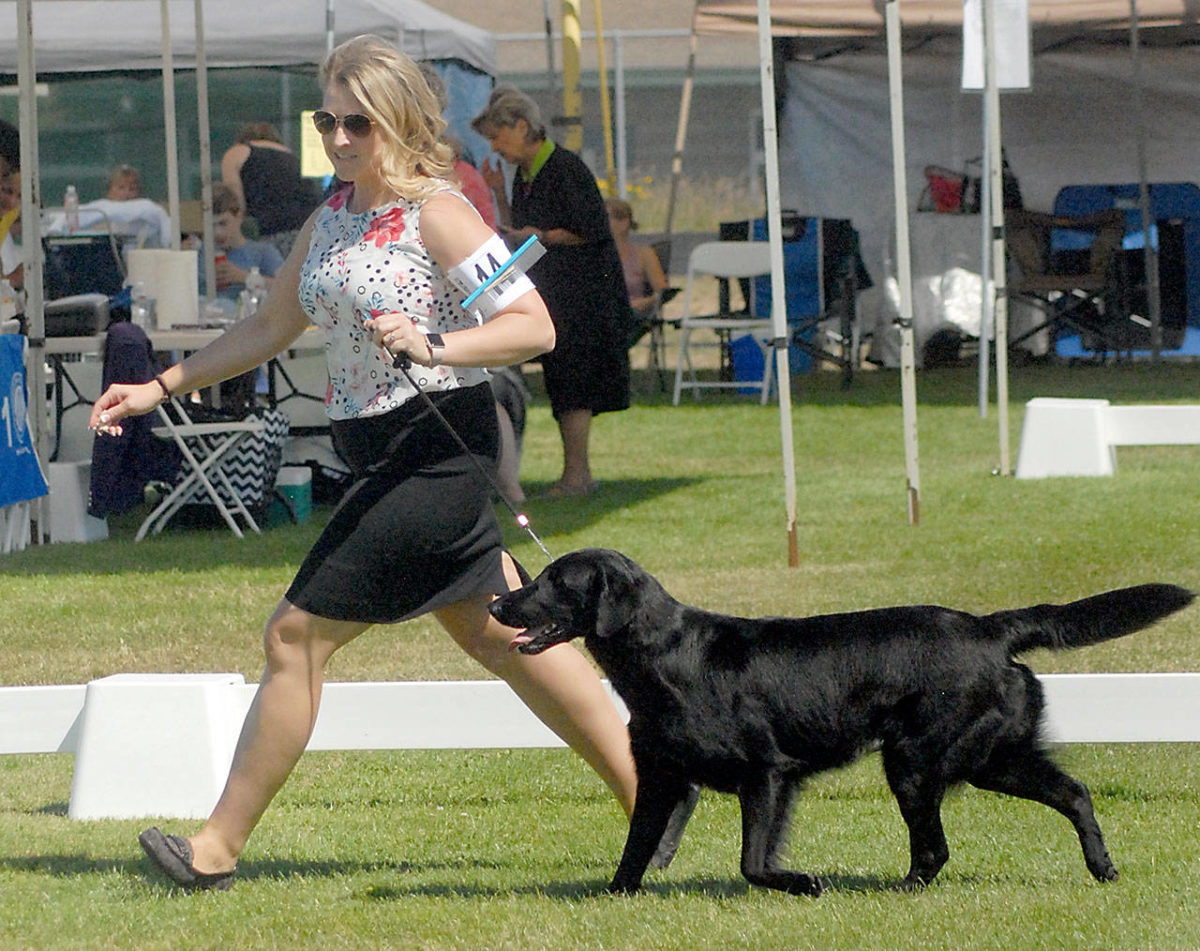 PHOTO GALLERY 23rd annual Hurricane Ridge Kennel Club dog show