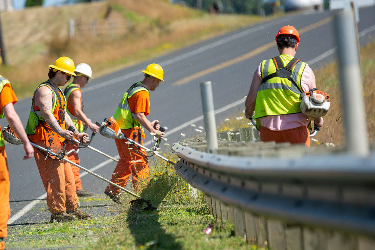 Members of the Clallam County Chain Gang clear vegetation from guard rails on Deer Park Road Monday. The Clallam County Sheriff’s Office plans to add a third chain gang. (Jesse Major/Peninsula Daily News)