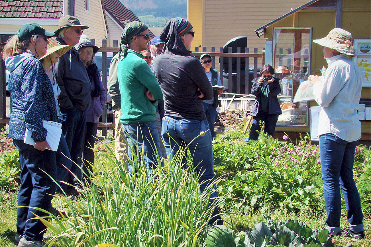 Garden walk to cover tomatoes, onions, berries