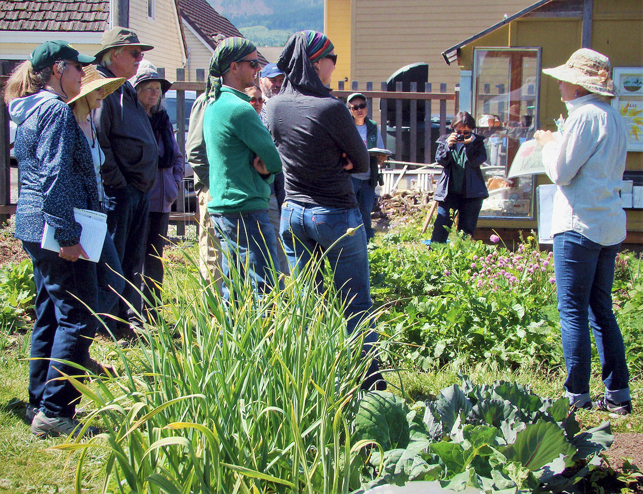 Laurel Moulton, WSU Clallam County Extension Master Gardener coordinator, talks to participants in a recent Second Saturday Garden Walk in the Fifth Street Community Garden. (Amy McIntyre)