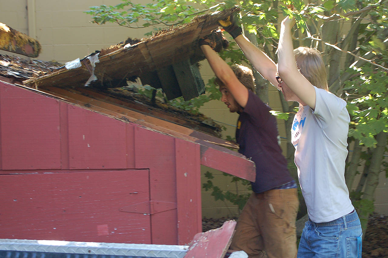 Eagle Scout candidate Ian Thill, back, and Dylan Washburn, front, lift up the first section of the Pioneer Memorial Park storage shed roof as part of Thill’s Eagle Scout project. “This roof was in worse shape than we thought,” Thill said partway through the process, remarking that he’d been hoping to save some of the support beams. In the end, they had to remove them all because of rot and other degradation. (Conor Dowley/Olympic Peninsula News Group)