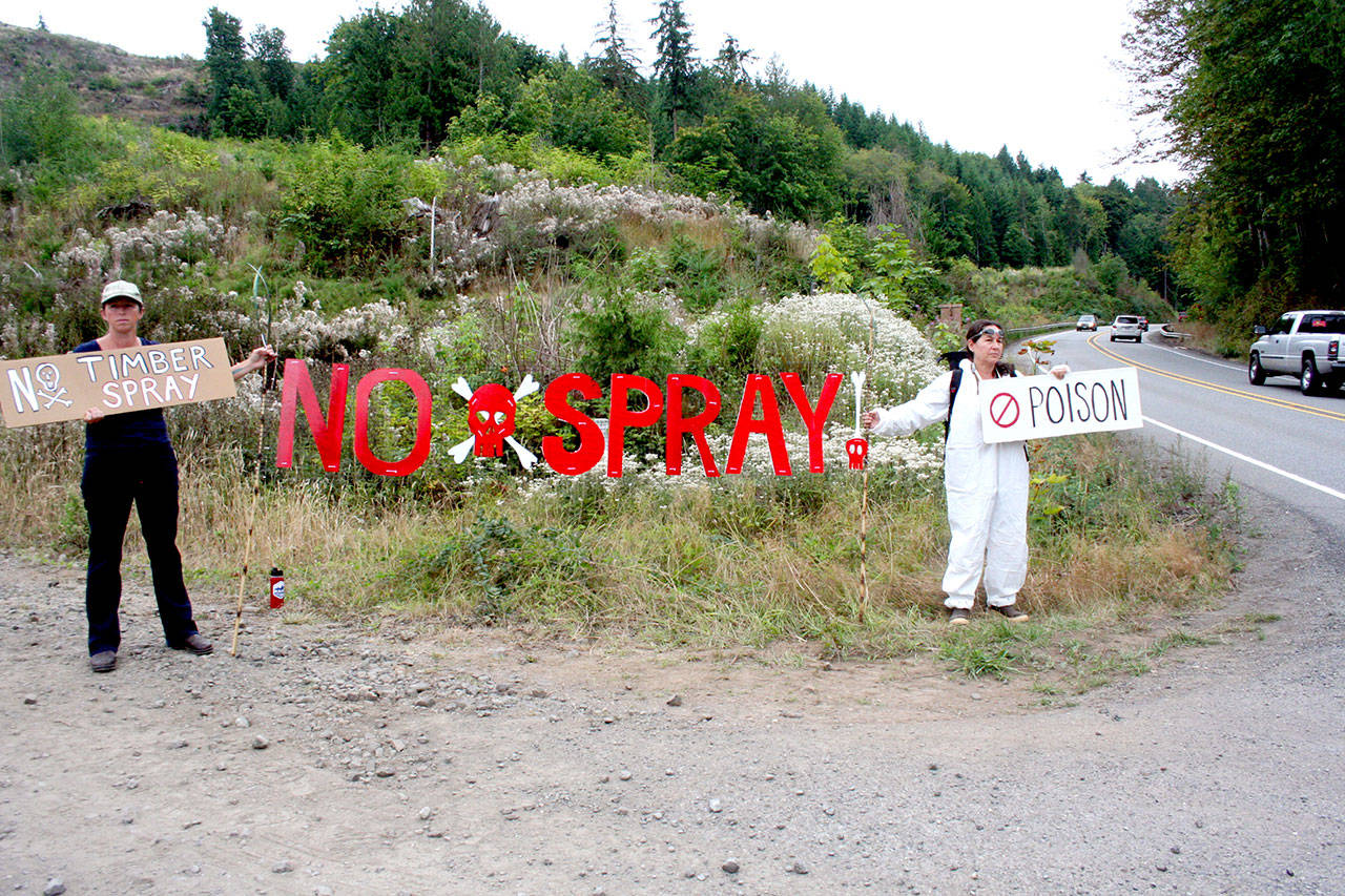 Lissy Andrews of Port Townsend, left, and a Seattle woman who identifies herself as Hogan stage a protest of aerial herbicide spraying just off state Highway 20 south of Anderson Lake Road on Monday. (Brian McLean/Peninsula Daily News)