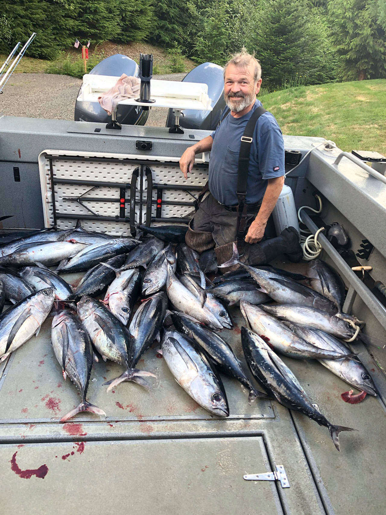 Port Angeles angler George Schoenfeldt along with Bill Heilman, Anthony Joe Gort and Russell Thorn recently caught these albacore tuna while fishing 45 miles off of La Push.