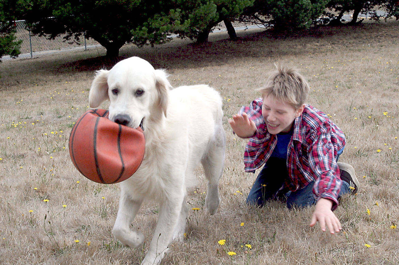 Wynston Becker, 9, plays with Gabe, a golden retriever owned by Mary Armstrong, at the Mountain View Dog Park. The park had a soft opening last week after fencing and gates were installed on the property. (Brian McLean/Peninsula Daily News)
