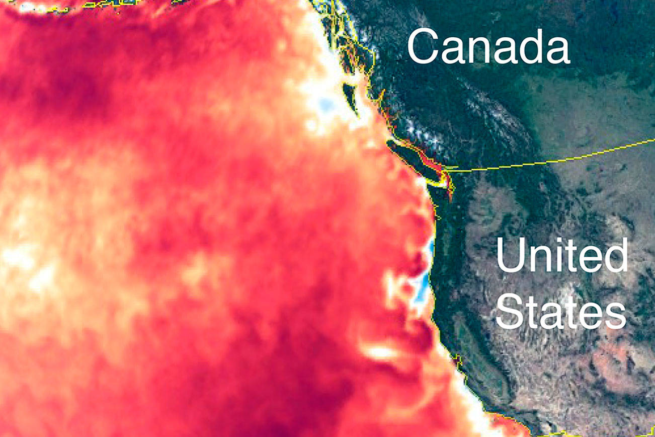 New marine blob forms off West Coast