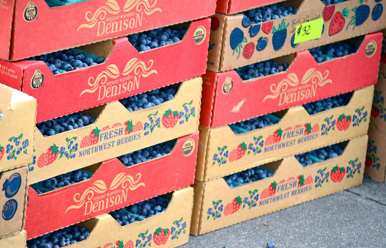 Finnriver Farms packed its near-end-of-season blueberry crop to the Port Townsend Farmers Market. (Diane Urbani de la Paz/for Peninsula Daily News)