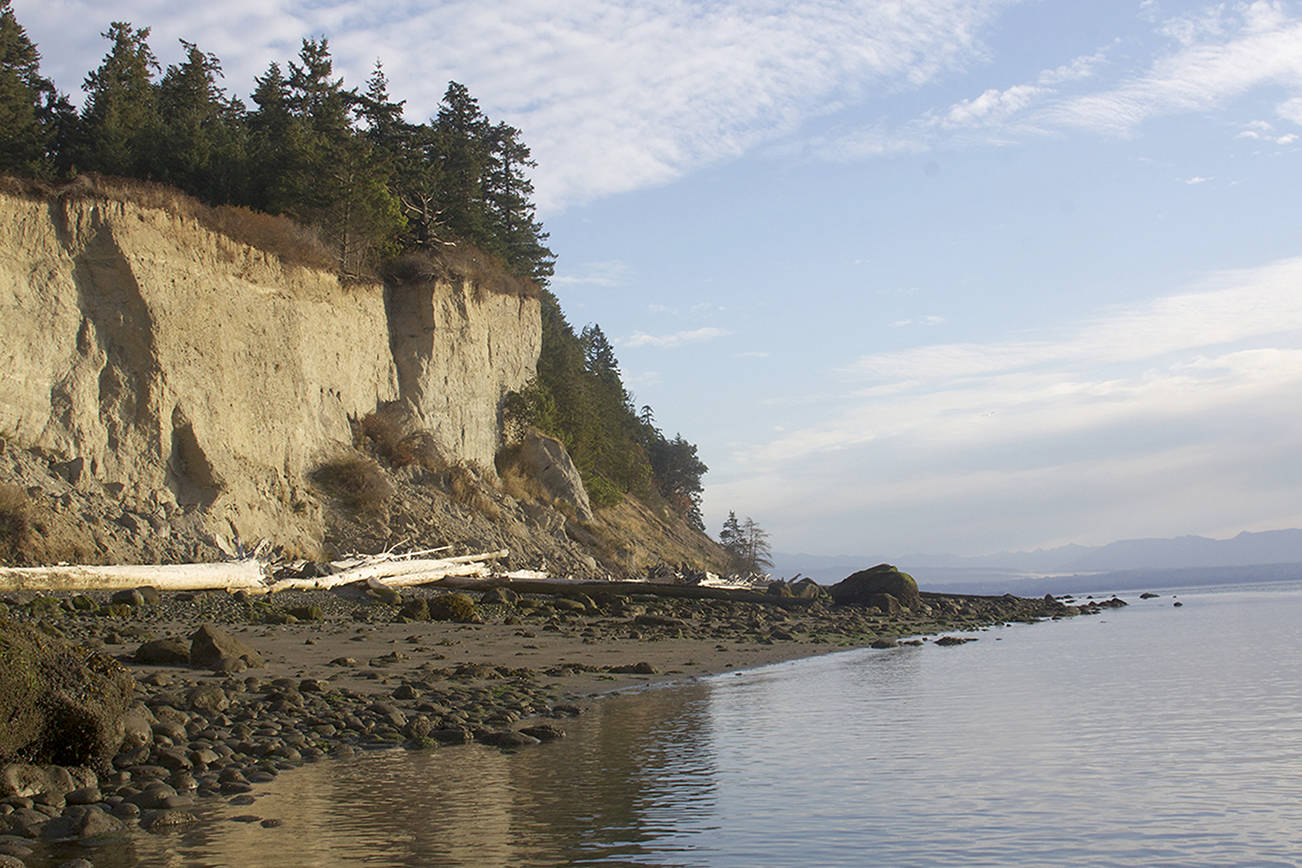 Years of land trust efforts come together in Camano Island’s newest