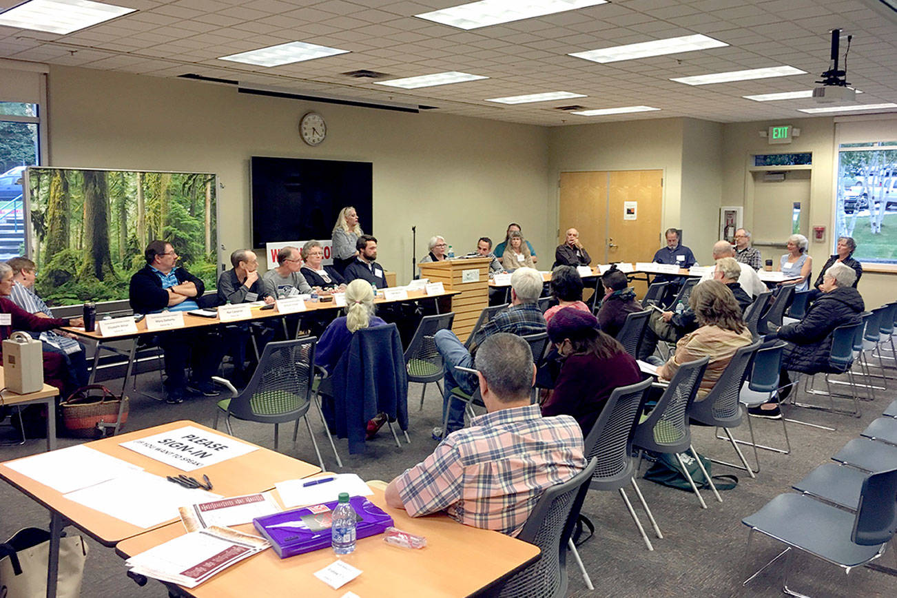 Seventeen charter review candidates tell of goals - Peninsula Daily News