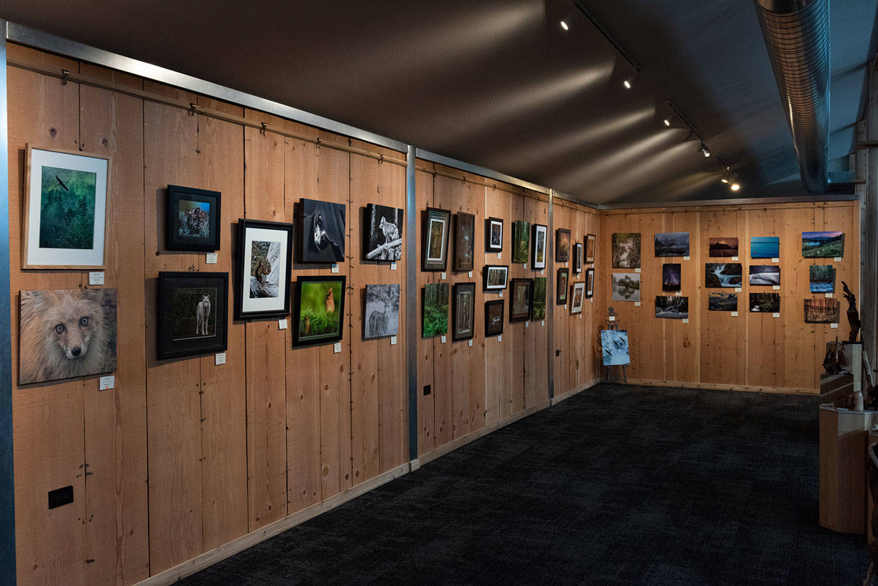 The Olympic Peaks Camera Club’s “From the Forest” exhibit shows at the Judith McInnes Tozzer Gallery at Sequim Museum & Arts through Saturday. (Ken Kennedy/Olympic Peaks Camera Club)