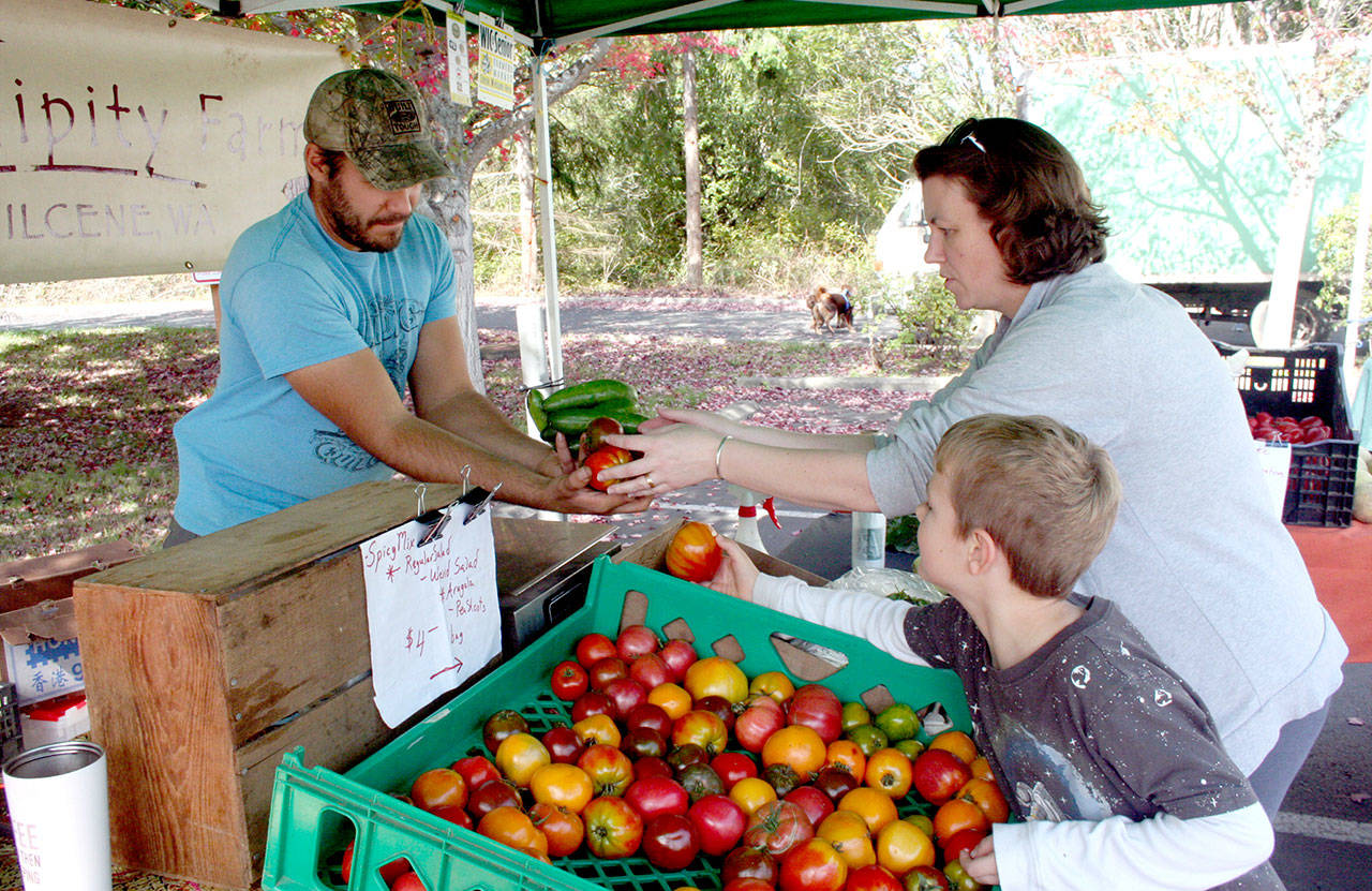 Jaric Jahns, left, a produce partner at Serendipity Farm in Quilcene, helps customers Emily Allen and her two sons, Bram Genaw, 6, and Toby Genaw, 3, at the Port Townsend Farmers Market on Wednesday. (Brian McLean/Peninsula Daily News)
