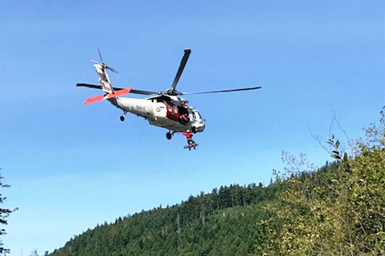 Backpacker airlifted from park