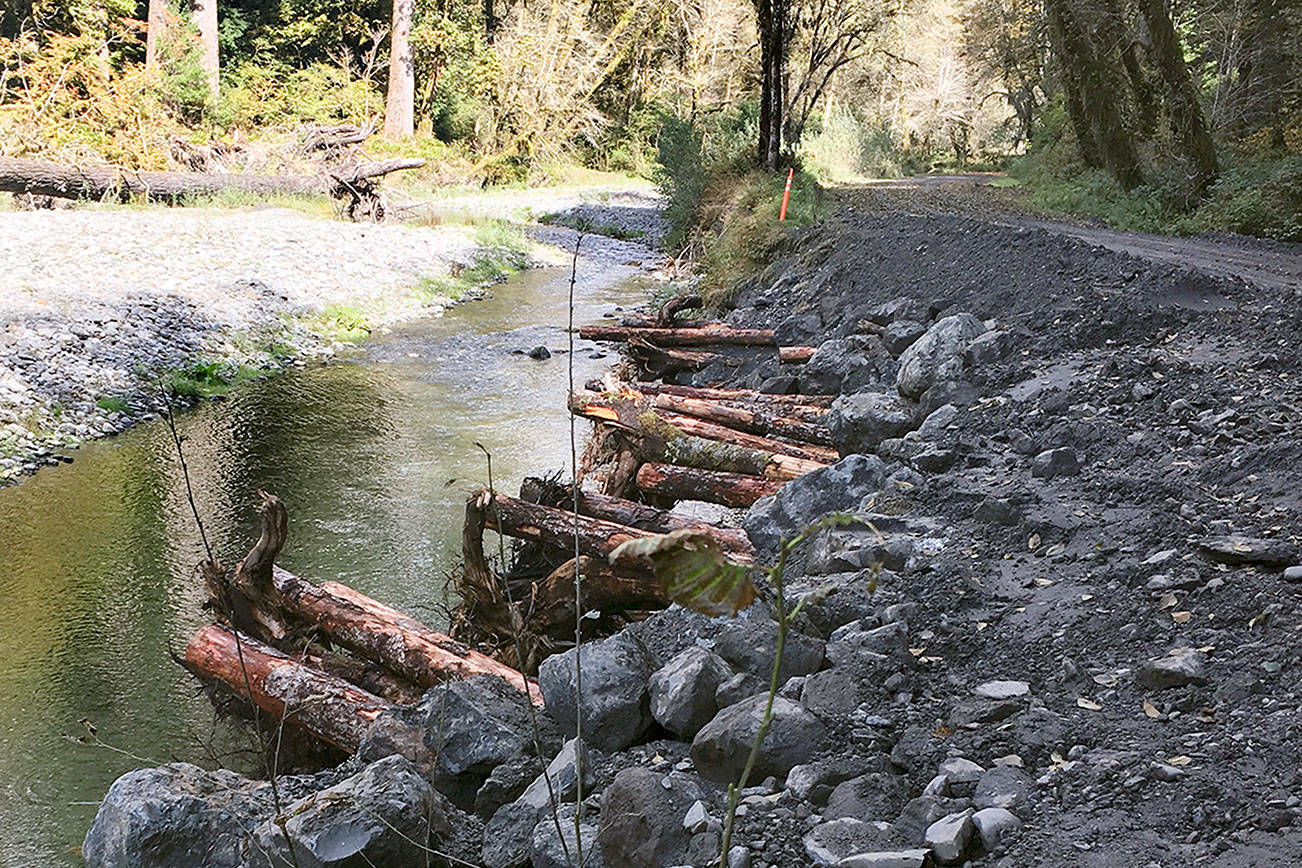 Graves Creek Road in Quinault Valley reopened to vehicles