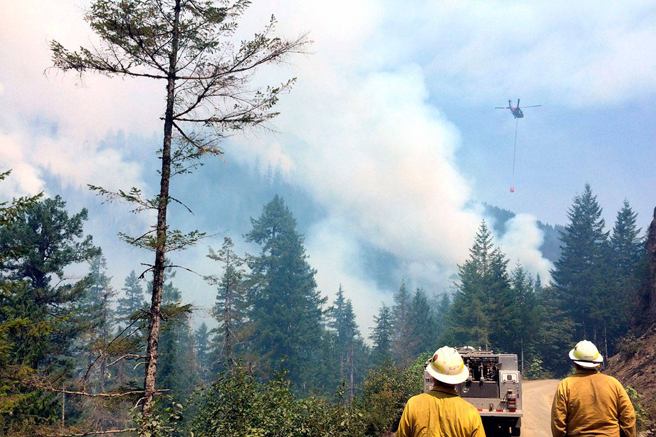 Two accused of starting Maple Fire amid tree poaching