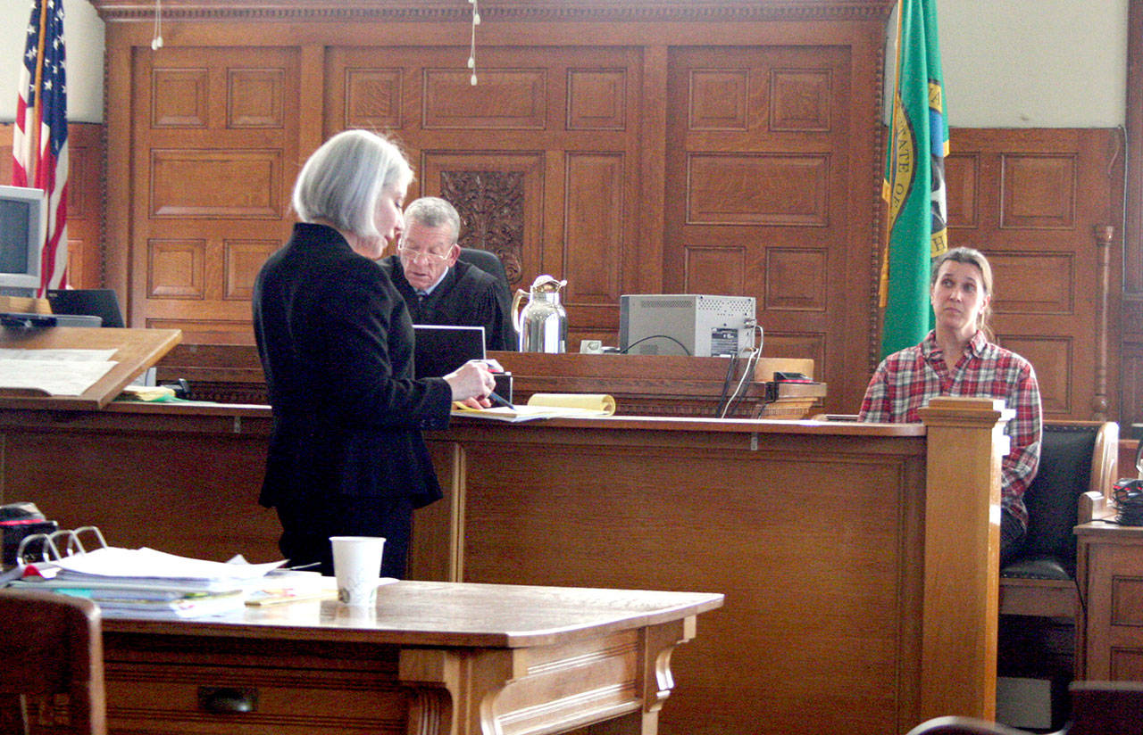 Deputy Prosecuting Attorney Julie St. Marie, left, asks questions of Center Valley Animal Rescue Director Sara Penhallegon as she took the stand in the state’s case against a Chimacum man who is facing a jury trial for the second time on first-degree animal cruelty charges. Superior Court Judge Keith Harper is on the bench. (Brian McLean/Peninsula Daily News)