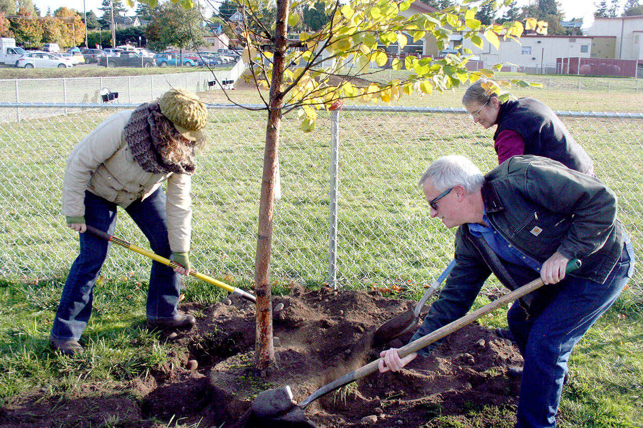 Jennifer Rotermund, left, Owen Rowe and Debbie Jahnke shovel dirt to fill in the planting of a paper birch tree during the Arbor Day celebration at Port Townsend’s Mountain View Dog Park. (Brian McLean/Peninsula Daily News)