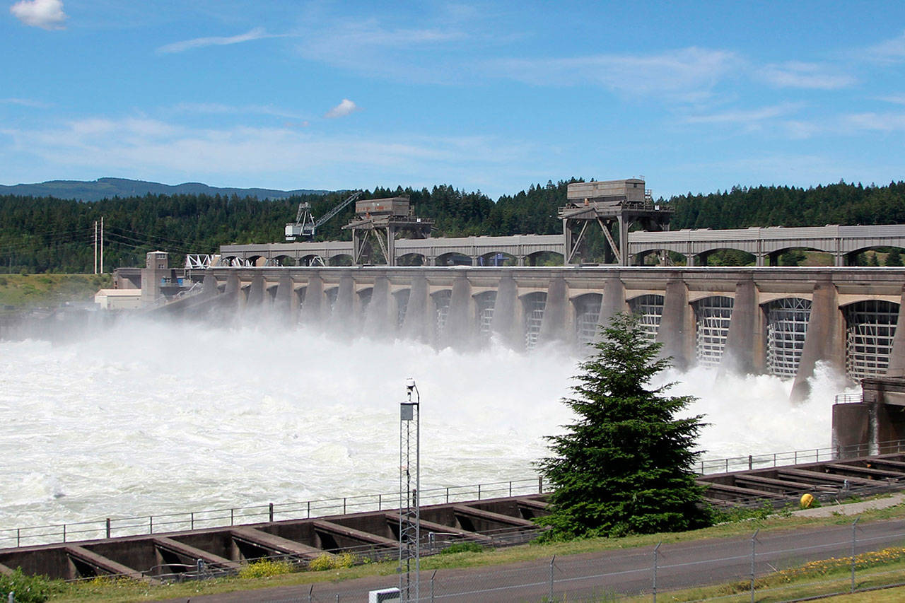Water flows through the Bonneville Dam near Cascade, Ore., on June 27, 2012. Two prominent Pacific Northwest tribes are calling for the removal three major hydroelectric dams on the Columbia River. (Rick Bowmer/The Associated Press)