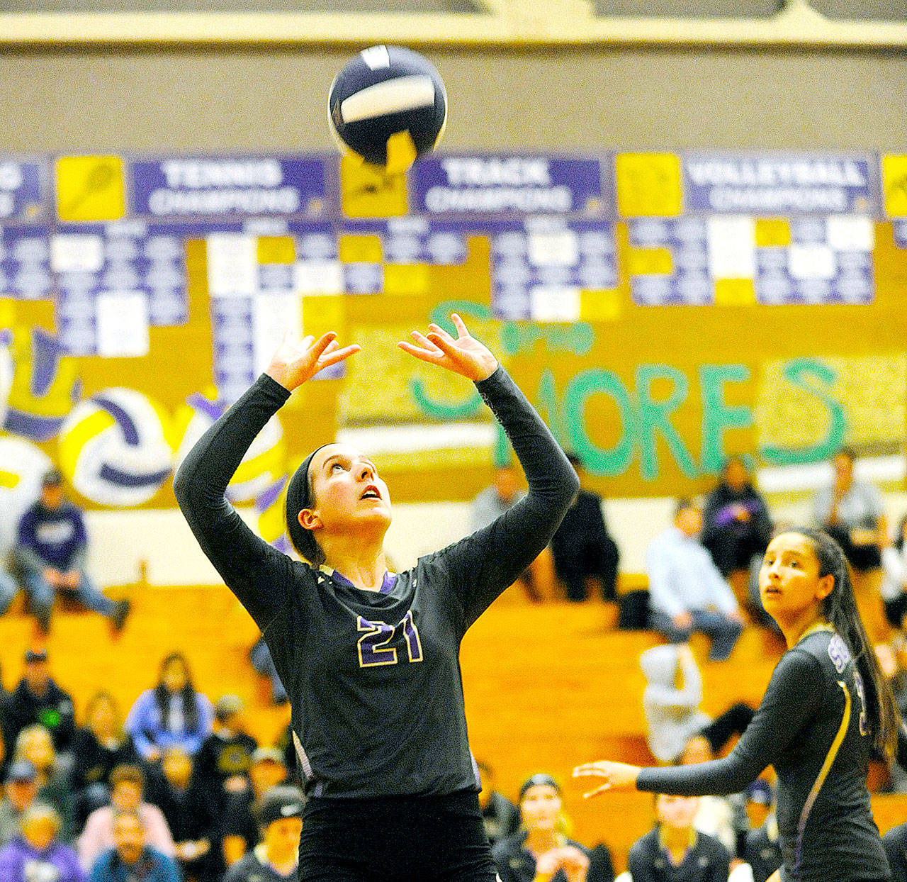 Sequim’s Kalli Wiker sets the ball against Olympic at Sequim on Tuesday night. Wiker finished the match with 35 assists. (Michael Dashiell/Olympic Peninsula News Group)