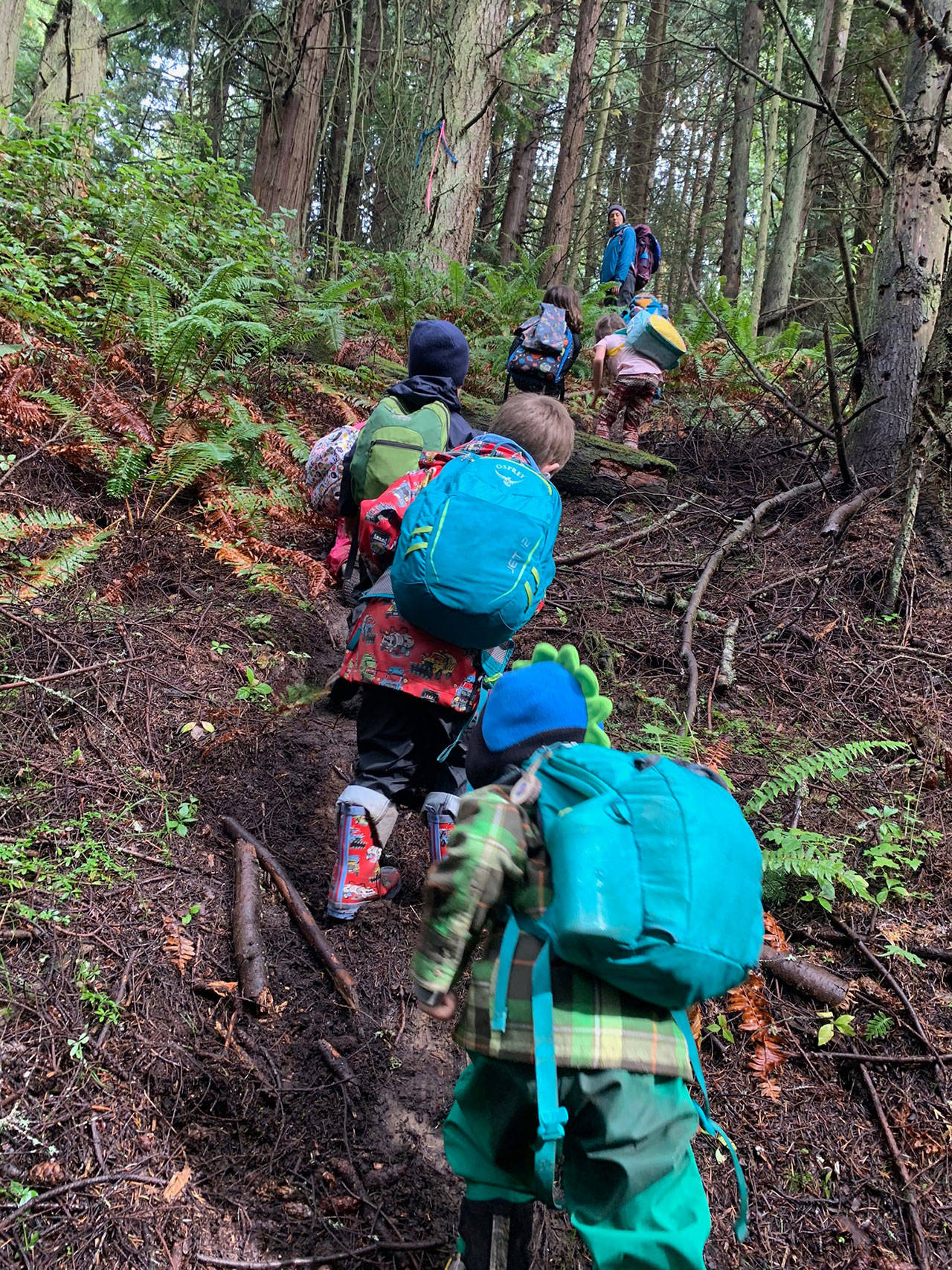 Children participate in a hike as part of one of Olympic Nature Experience’s programs. The organization recently received a $5,000 grant from the Benjamin N. Phillips Memorial Fund. (Olympic Nature Experience)