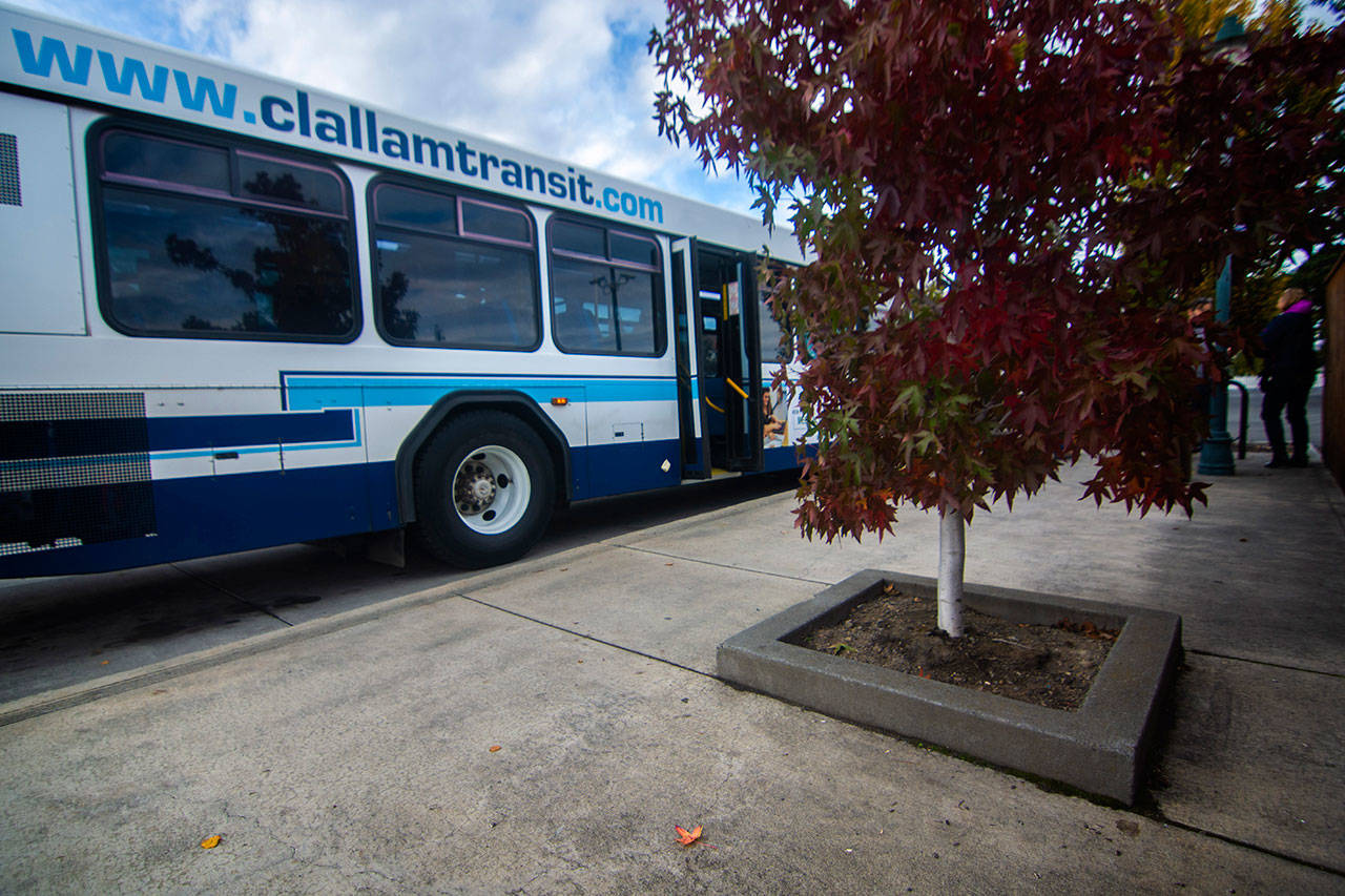 A bus full of jurors deciding whether Clallam Transit System is responsible for the injuries of a Sequim women stops at the Sequim Transit Center to see the tree box Virginia Moon tripped over. (Jesse Major/Peninsula Daily News)