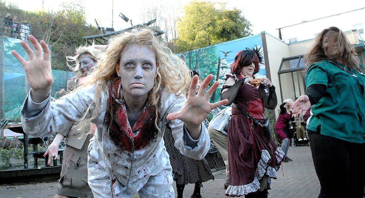 Christi Wojnowski of Port Angeles, center left, takes part in a “flash mob” rendition of the zombie dance based on the music video of Michael Jackson’s “Thriller” at the Conrad Dyar Memorial Fountain in downtown Port Angeles during Halloween trick or treating. (Keith Thorpe/Peninsula Daily News)