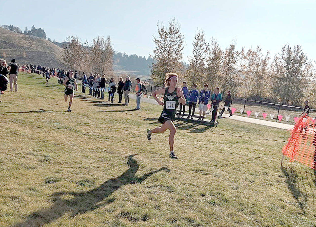 Port Angeles’ Thomas Shaw approaches teh finish line at the West Central District III 2A Cross-Country Championships in University Place. Shaw finished 16th as the Roughrider boys qualified as a team for the state 2A meet Saturday in Pasco.