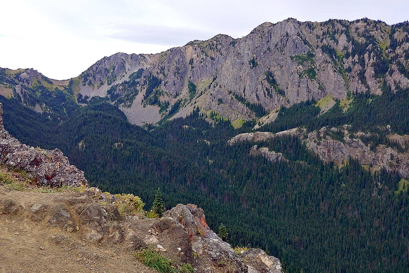 Olympic National Forest roads, trails to see changes in 2020