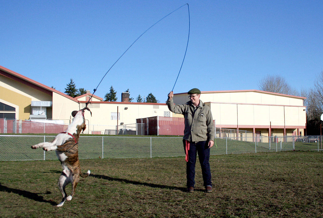 Eliza Staten of Port Townsend swings a toy for Jasper, her pit bull mix, under Tuesday’s afternoon sun at the Mountain View Dog Park. (Brian McLean/Peninsula Daily News)