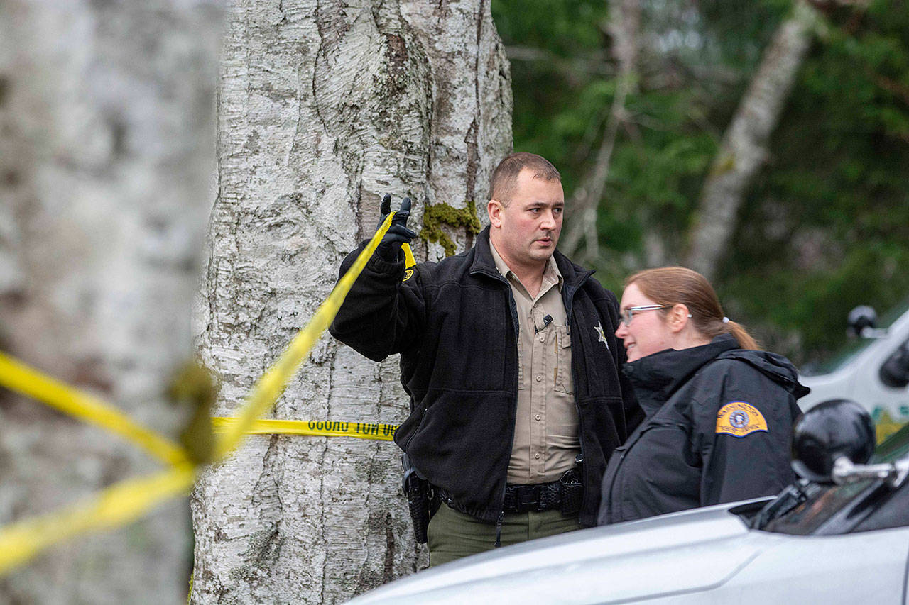 Clallam County Sheriff’s Deputy David Fletcher holds up crime scene tape as investigators prepare to walk through the scene of a fatal shooting in Forks on Sunday. (Jesse Major/Peninsula Daily News)