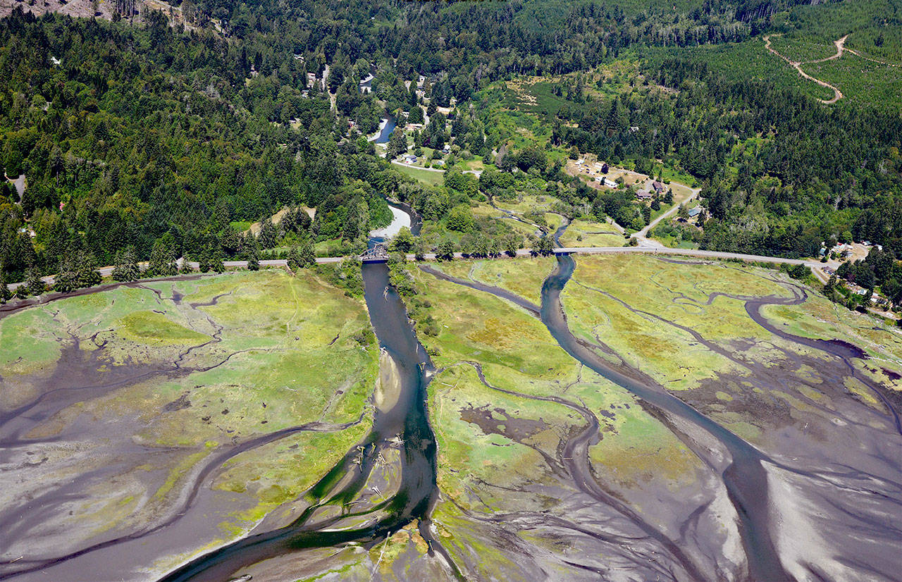 State awards more than 4.1 million for Peninsula salmon recovery