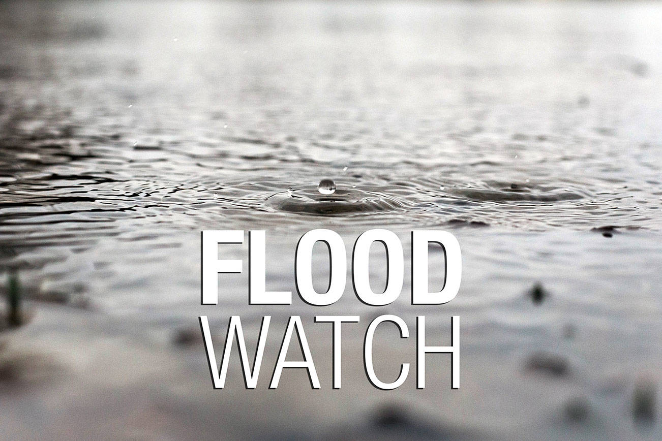 National Weather Service issues area flood watch