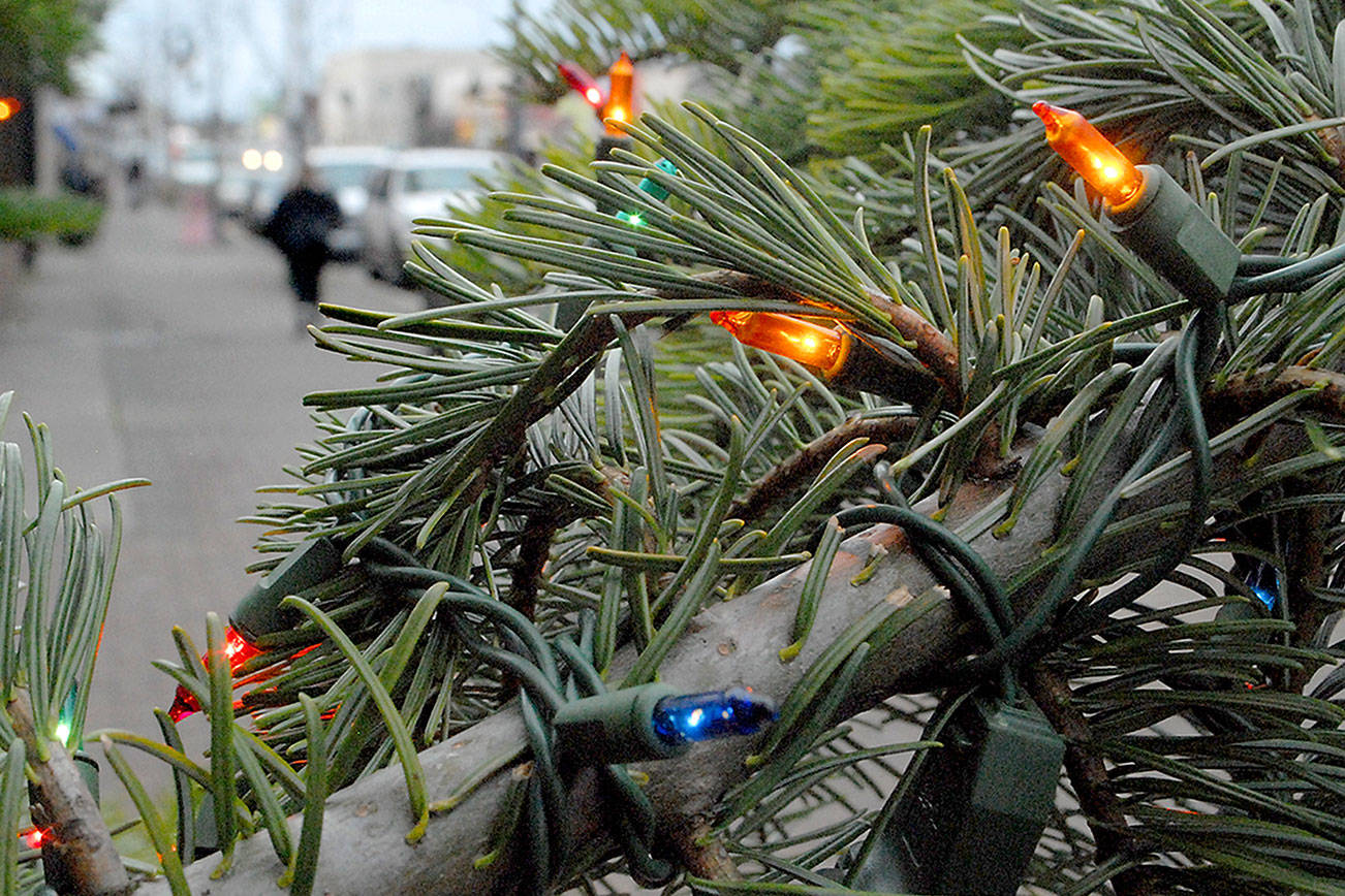Downtown Port Angeles tree all aglow