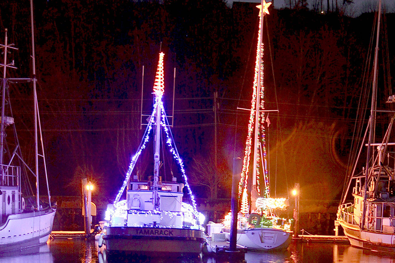 Port Angeles Boat Haven lights make merry