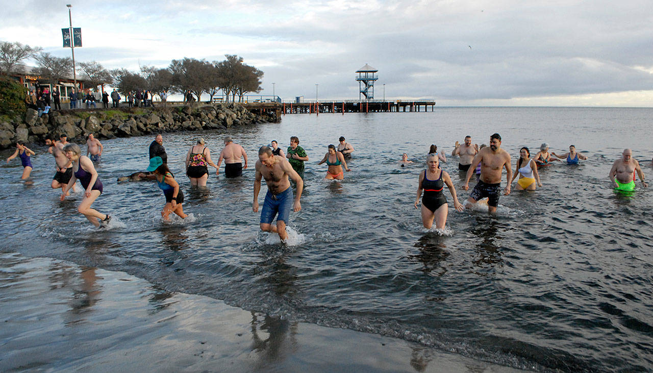 Polar bear dippers wade ashore at Hollywood Beach in Port Angeles after the first of three plunges into Port Angeles Harbor on New Year’s Day. (Keith Thorpe/Peninsula Daily News)