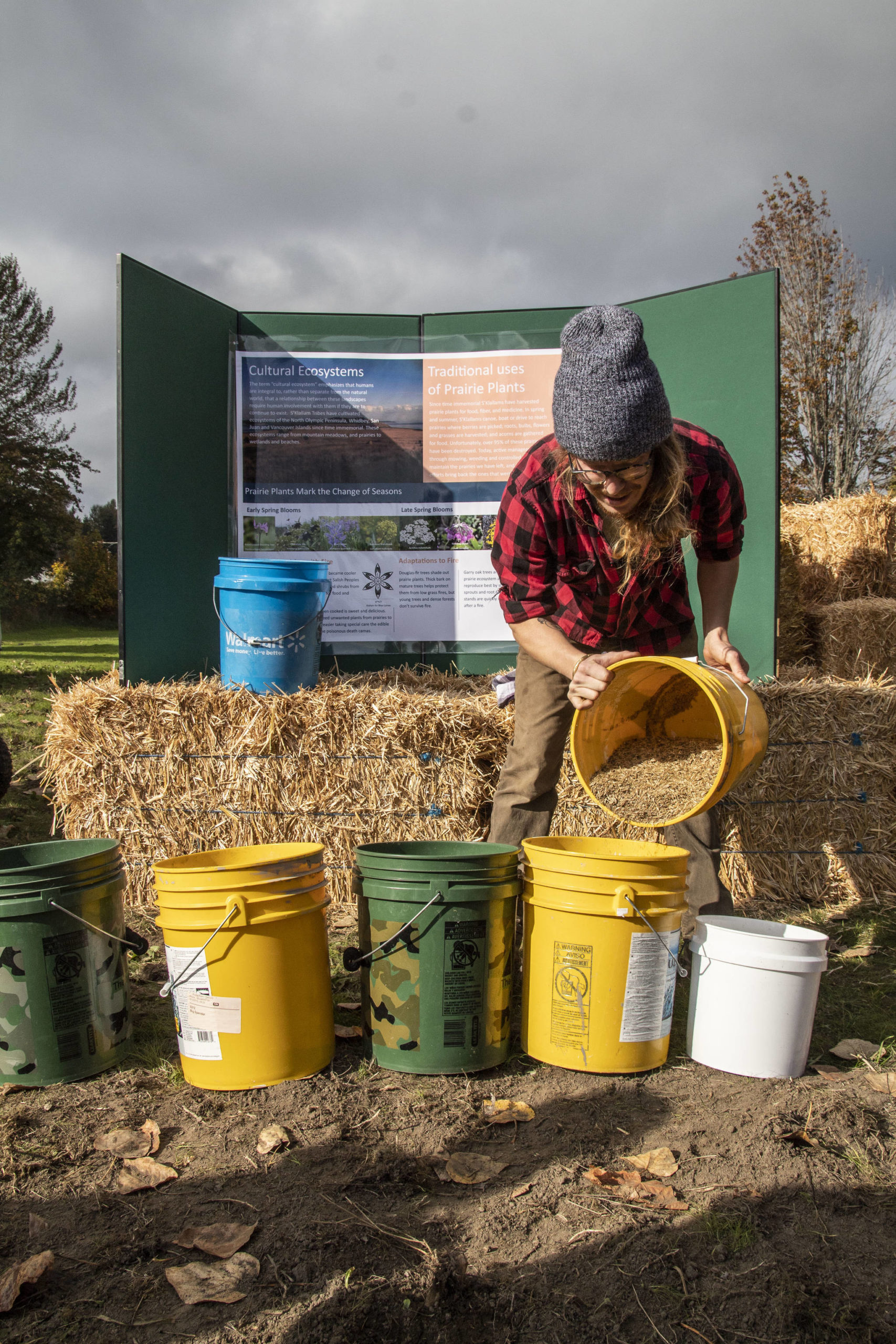 Traditional Foods Project assistant Mackenzie Grinnell sorts wildflower seeds into buckets for planting. (Tiffany Royal)