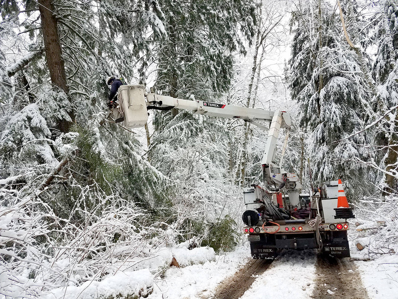 Jefferson County Public Utility District crews work to clear power lines and restore power to residents around Coyle and the Toandos Peninsula on Wednesday. (Jefferson County PUD)