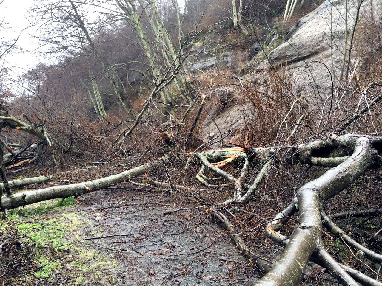 A mudslide covers a section of the Olympic Discovery Trail between the Ennis Street trailhead and Morse Creek trestle east of Port Angeles on Wednesday, Jan. 22, 2020. (Rob Ollikainen/Peninsula Daily News)