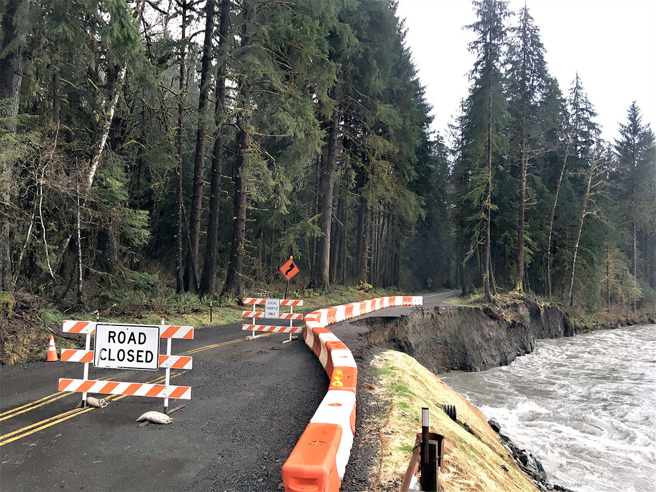 The Hoh Rain Forest area of Olympic National Park is temporarily closed until repairs are completed on Upper Hoh Road outside the park boundary. Jefferson County closed the Upper Hoh Road to through traffic today due to the washout at milepost 8. (National Park Service)