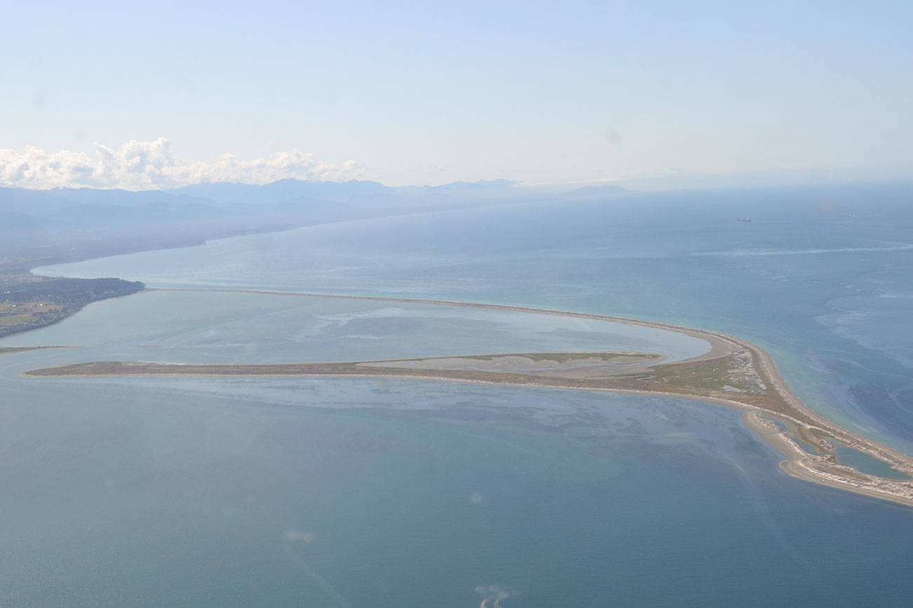 Clallam County Hearing Examiner Andrew Reeves has approved the first phase of Jamestown S’Klallam Tribe’s planned oyster farm south of the Dungeness Spit. (Matthew Nash/Olympic Peninsula News Group)