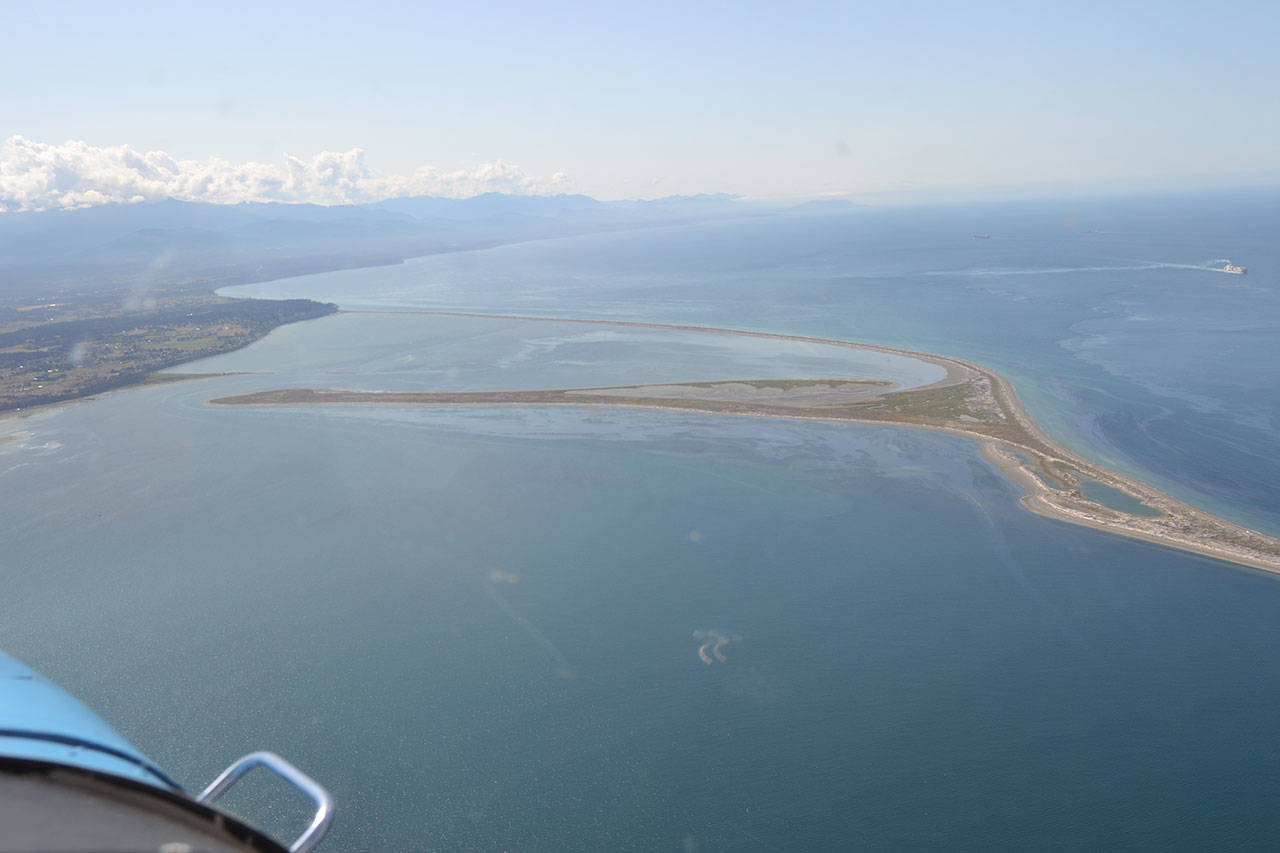 Clallam County Hearing Examiner Andrew Reeves has approved the first phase of Jamestown S’Klallam Tribe’s planned oyster farm south of the Dungeness Spit. (Matthew Nash/Olympic Peninsula News Group)